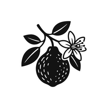 Black and White Silhouette of a Lemon Branch with Fruit and Blossom