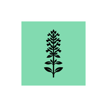 Minimalist Black Salvia Flower Silhouette on Teal Background