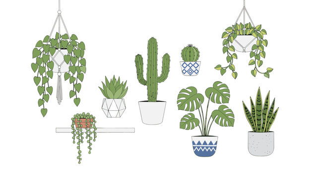 Collection of various indoor plants including hanging baskets and a monstera placed on a shelf against a clean light background for home decor.