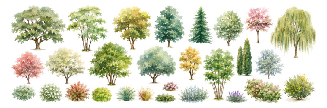 Minimal style watercolor mixed tropical and deciduous tree illustration, Side view, set of graphics palm conifer shrub and garden trees elements for architecture landscape design. Vector illustration.