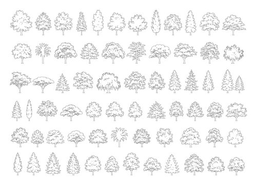 Minimal style cad mixed conifer and deciduous tree line drawing, Side view, set of graphics forest woodland trees elements outline symbol for architecture landscape design. Vector illustration. forest