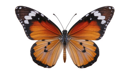 Orange and black butterfly with white spots, isolated on transparent background © Iura