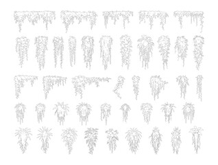 CAD hanging plant elevation line drawing set, side view vines creepers tropical plants and vertical greenery for architecture landscape design vector illustration © Addictive Stock