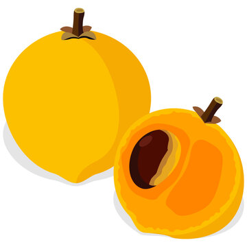 egg yolk fruit, tropical fruit.