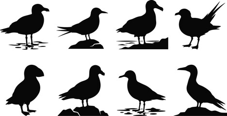 Obraz premium Seabird Silhouette Collection Featuring Coastal Shore Birds and Waterfowl Vector Set