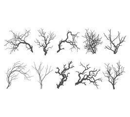 Fototapeta premium Bare Tree Branches And Twig Set Design