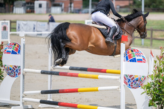 Pferd springt &uuml;ber ein Hindernis beim Springreiten