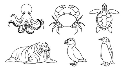 Collection of marine and polar animal vector illustration design featuring sea creatures and arctic wildlife for educational art projects © Purnomo Semlirick
