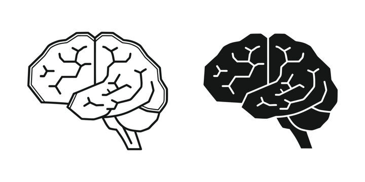 Human brain anatomy set featuring cerebral hemispheres in minimalist outline and solid black styles mind