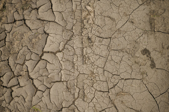 dry cracked soil in an arid outdoor setting viewed from a top-down perspective with brown and gray tones, representing climate change and drought conditions in agriculture.