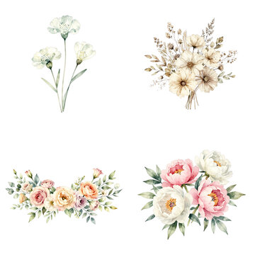 Watercolor flower bouquet set with pink and white roses isolated on transparent background, illustration
