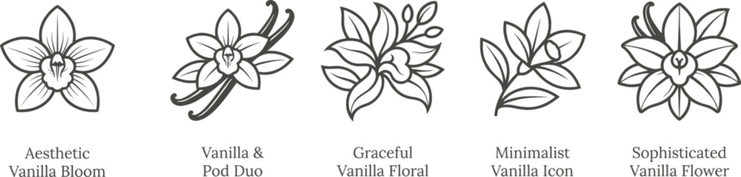 Vanilla flower line art icon set elegant botanical orchid blossom and pods bundle aesthetic food ingredient logo design elements black vector illustration
