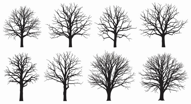 Set of eight diverse black silhouettes of leafless trees and bare branches isolated on white background. Detailed winter deciduous tree shapes with varied branch structures for design.