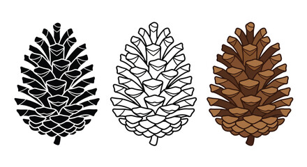 Pinecone Illustrations Black Silhouette Line Art And Color Version © Sundorbon