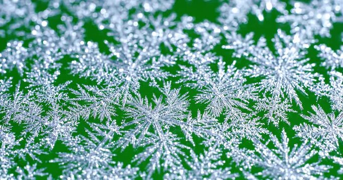 Beautiful Ice Crystals Growing on Bright Green Background Macro