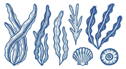 Collection of Hand-Drawn Blue Seaweed and Shells. © Welas