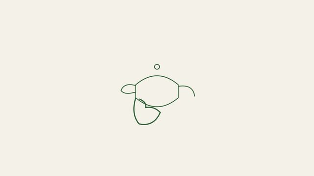 Minimalist line turtle animation: simple green animal on clean 4k background, tortoise line animation
