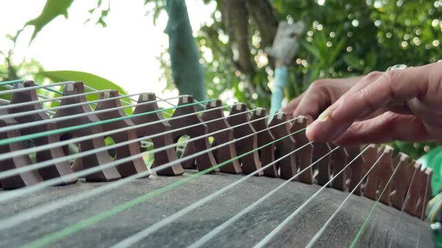 Close up of hands playing a traditional string instrument outdoors with green trees in the background. Musical performance.