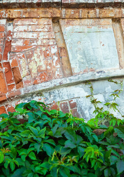 Green grass contrasts rough facade of the old red brick wall with weathered texture