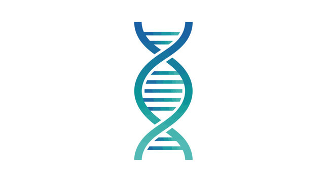 Create a premium vector illustration of a DNA double helix structure.