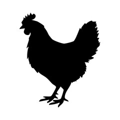rooster silhouette vector © Menhikki