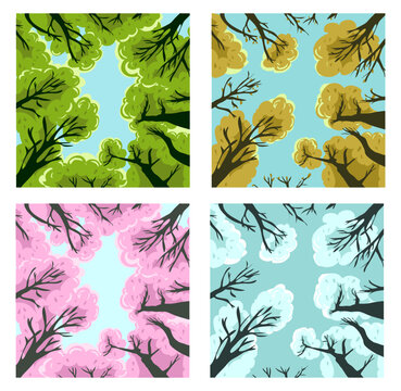 Four Seasons Tree Canopy Vector Illustration Set with Summer Autumn Spring and Winter Backgrounds