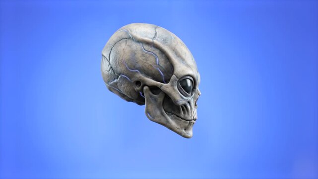 A highly detailed 3D rendering of an extraterrestrial alien skull with prominent eye sockets and elongated cranial structure. Set against a solid light blue backdrop, this sci-fi horror asset is perfe
