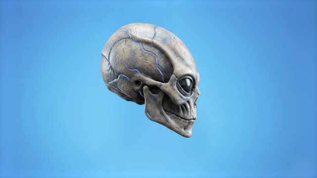 A highly detailed 3D rendering of an extraterrestrial alien skull with prominent eye sockets and elongated cranial structure. Set against a solid light blue backdrop, this sci-fi horror asset is perfe