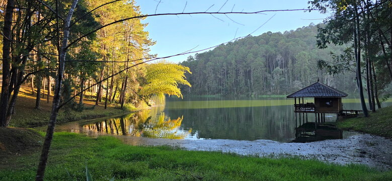 The tranquil and beautiful scenery of Pang Oung during the warm sunlight. A locally styled wooden pavilion, reflections in water adding to sense of tranquility, trees and the sky. row tall pine trees
