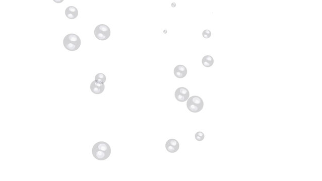 Floating Soap Bubbles on White Background