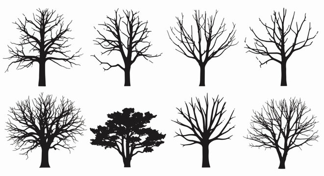 Collection of eight black silhouettes of trees, including seven bare leafless branches and one pine tree shape, isolated on a white background for graphic design and compositing.
