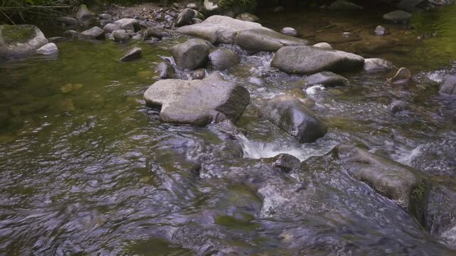 Rivi&egrave;re foresti&egrave;re passant sous un pont de pierre dans les Vosges - iles Marie Louise