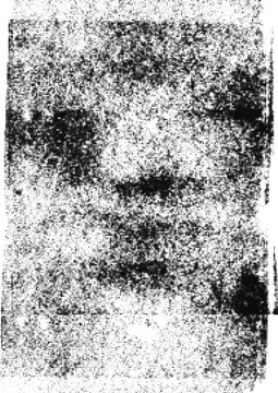 Large vector halftone ink texture with a transparent background