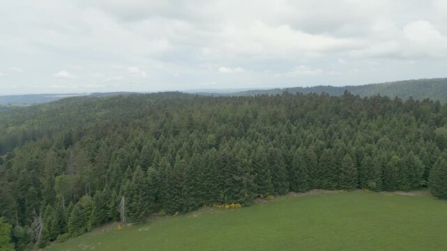 For&ecirc;t des Vosges vue du ciel en avec un drone en d&eacute;placement lat&eacute;ral