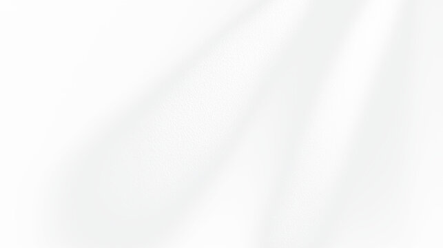 Transparent png with soft natural sunlight shadow overlay on textured wall surface creating realistic summer light effect isolated for modern interior design and presentation backgrounds window home
