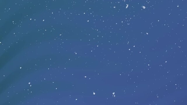 animation deep navy blue gradient background white snowflakes fall against dark blue sky in a cold storm. Ideal for seasonal backgrounds, holiday designs, or festive projects.