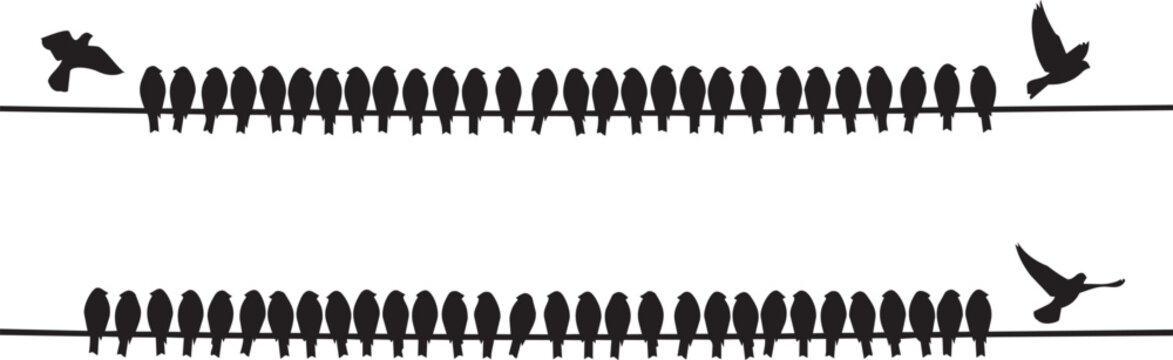 Flock of birds perched on wires with one flying away during daylight against a white background concept