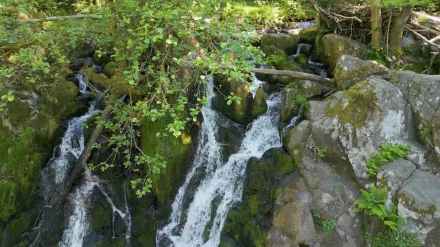 Panoramique vers le bas du haut de la cascade du Saut du Bouchot dans les Vosges