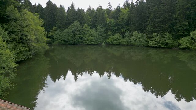 Etang au milieu de la for&ecirc;t dans les Vosges