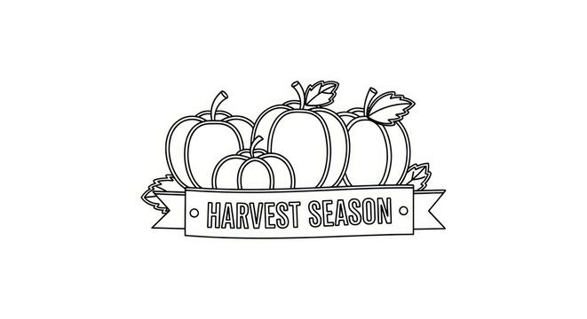 Hand drawn harvest season illustration with pumpkins and banner.