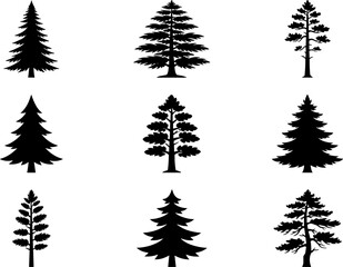 Fototapeta premium Conifer Tree Silhouette Collection with Pine Spruce and Evergreen Forest Icons for Nature Landscaping and Woodland Design Projects