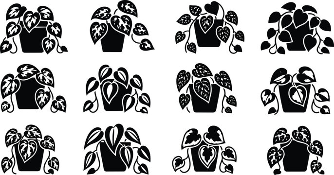 Diverse Black White Potted Vining Houseplants Vector Icon Set