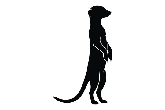 Black silhouette of a standing meerkat on white background