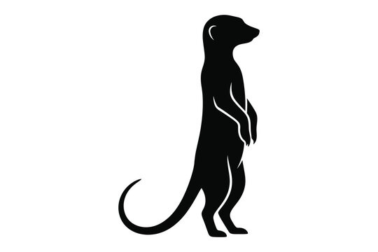 Black silhouette of a standing mongoose on white background