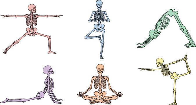Yoga skeleton silhouette set with meditation and stretching poses colorful anatomy illustration collection