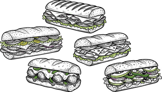 Hand drawn sub sandwich vector illustration set with baguette panini meatballs lettuce cheese meat vintage woodcut engraving style