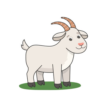 Cute white goat cartoon character standing on green grass. farm animal clipart for children books, educational flashcards, decor, eco farm logo or milk product packaging.