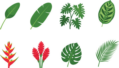 Tropical Plant Collection with Exotic Leaves and Botanical Elements Flat Vector Illustration Set © Sabbir