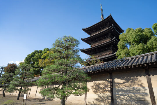 東寺（教王護国寺） 五重塔