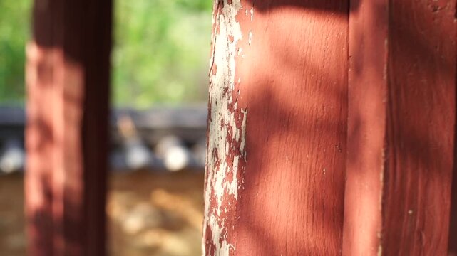 Korea Hwasun Chimsujeong traditional architecture pavilion building wooden structure roof tile dancheong nameplate culture heritage history 대한민국 한국 화순 침수정 전통 건축 한옥 정자 건물 기와 지붕 단청 현판 문화재 유산 역사